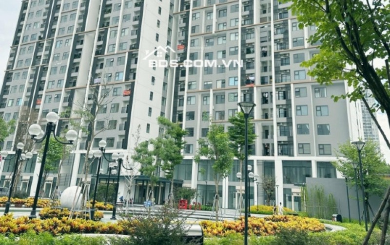 Tự động hóa Phần mềm phù hợp cho môi giới cá nhân, nhóm hoặc cả sàn giao dịch quy mô lớn.